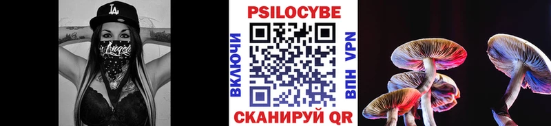 блэк спрут ССЫЛКА  купить   Щёлково  Псилоцибиновые грибы ЛСД 